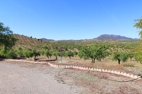 Landejendom i Velez-Rubio, Almeria, Velez-Rubio - € 170.000 | Ref: 3054-CH - foto 35